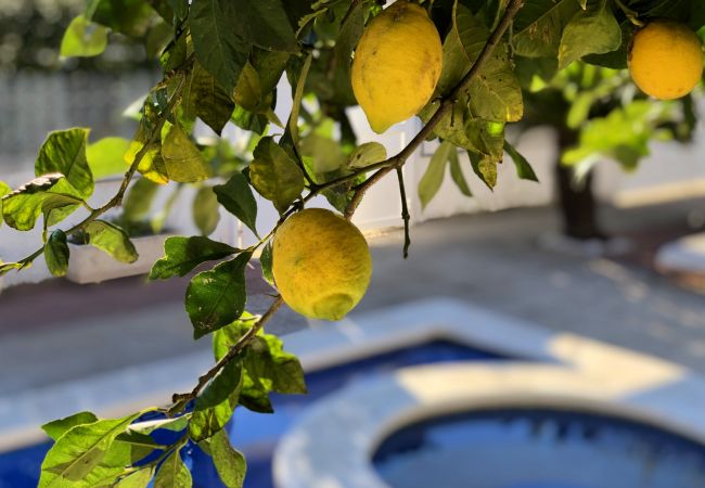 Villa à Miami Playa - LemB04 Villa à Miami Playa - LemB04