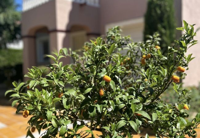 Villa à Miami Playa - NapB02 Villa à Miami Playa - NapB02