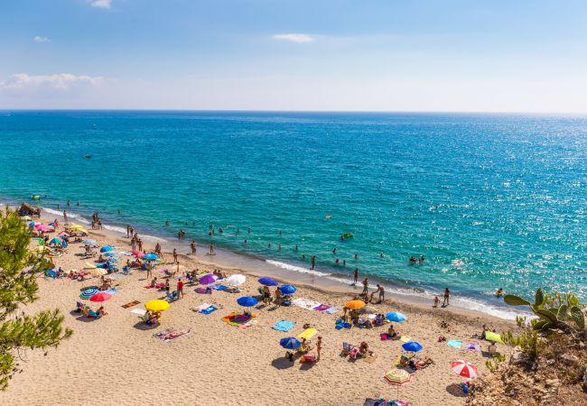 Maison mitoyenne à Miami Playa - MasC34 Maison mitoyenne à Miami Playa - MasC34