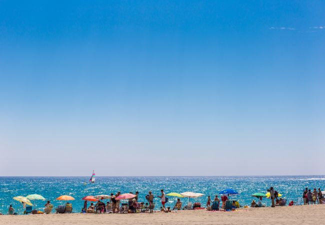 Maison mitoyenne à Miami Playa - RioC44 Maison mitoyenne à Miami Playa - RioC44