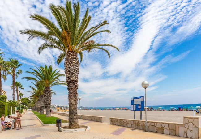 Maison mitoyenne à Miami Playa - CasC19 Maison mitoyenne à Miami Playa - CasC19