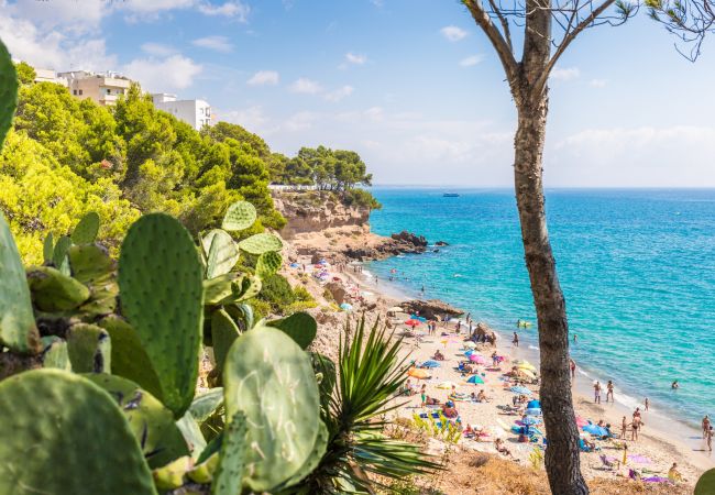 Maison mitoyenne à Miami Playa - CasC19 Maison mitoyenne à Miami Playa - CasC19