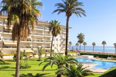 Апартаменты на Миами Плайя - FlaA09